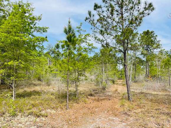 30 Acres of Recreational Land for Sale in Elizabethtown, North Carolina