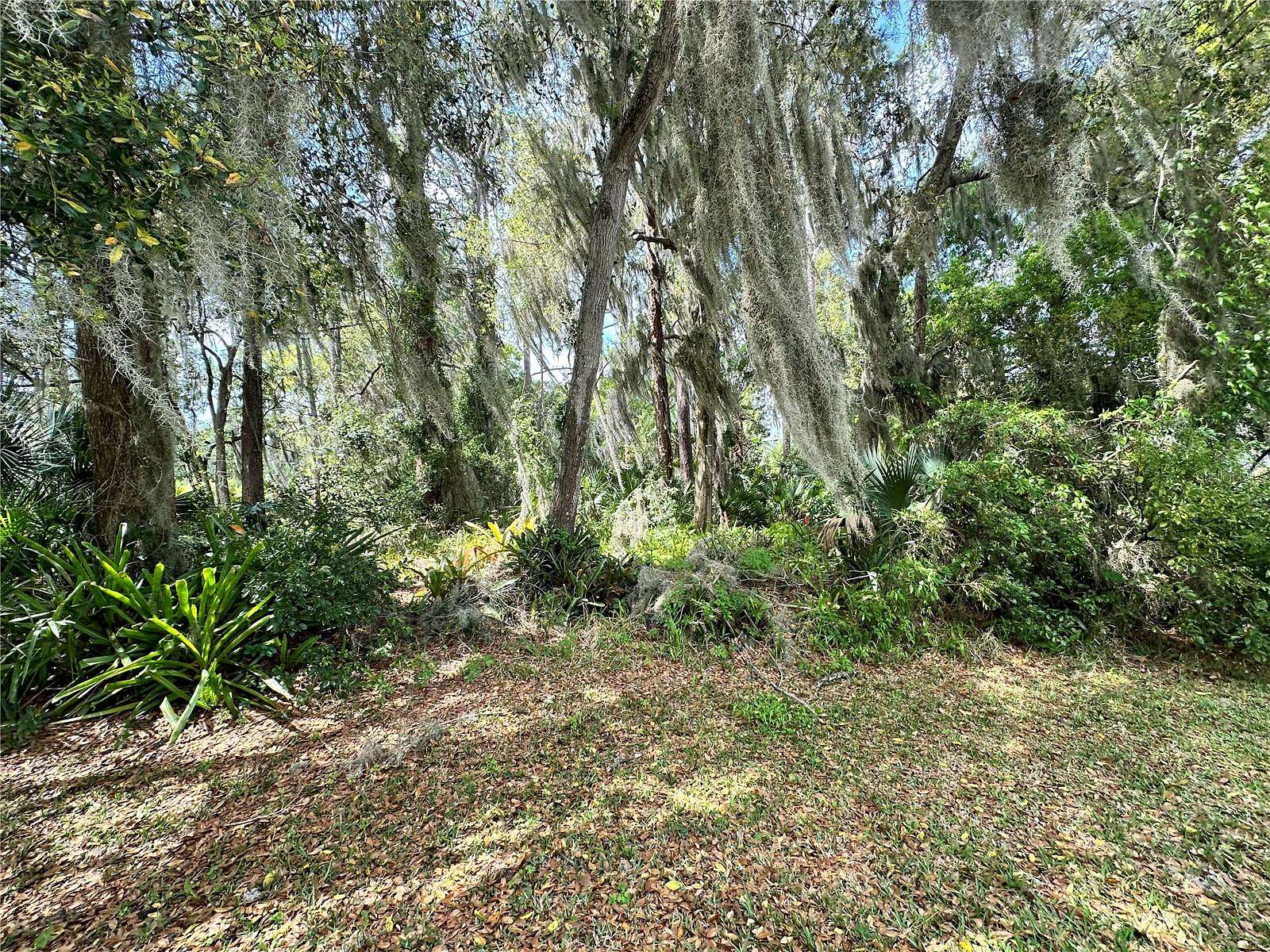 0.34 Acres of Land for Sale in Yalaha, Florida