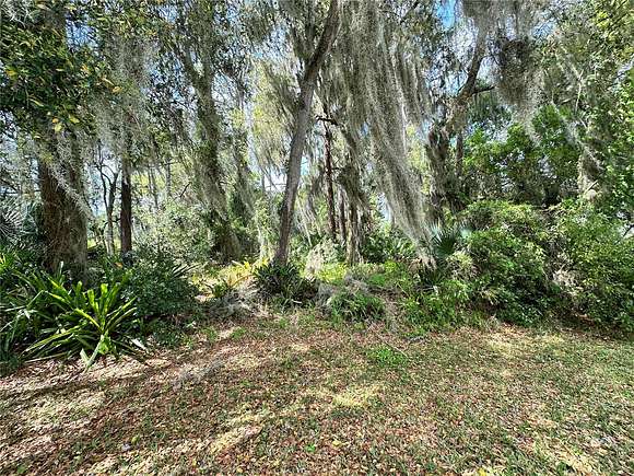 0.34 Acres of Land for Sale in Yalaha, Florida