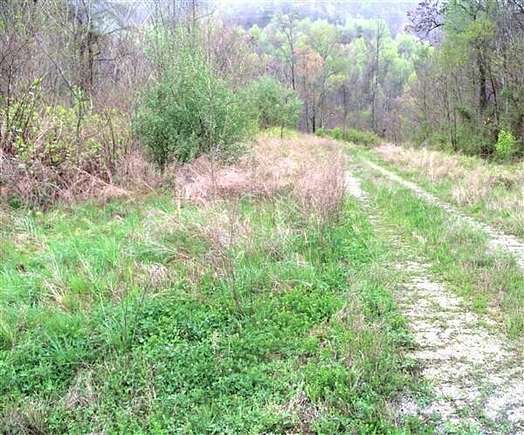 155 Acres of Recreational Land & Farm for Sale in Rockholds, Kentucky