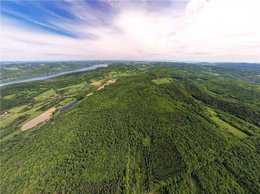 114 Acres of Land for Sale in Middlefield, New York