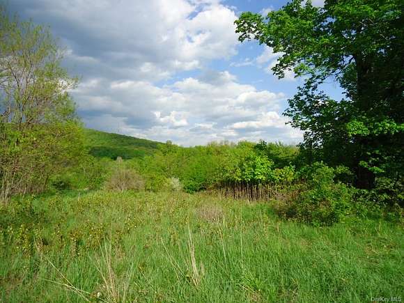 96.2 Acres of Land for Sale in Plattekill, New York