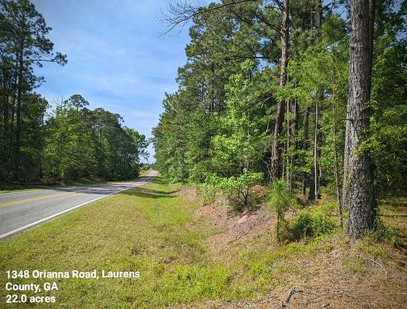 22 Acres of Recreational Land for Sale in Rockledge, Georgia