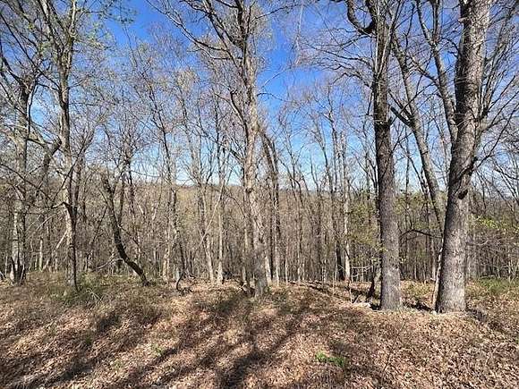 0.78 Acres of Residential Land for Sale in Holiday Island, Arkansas