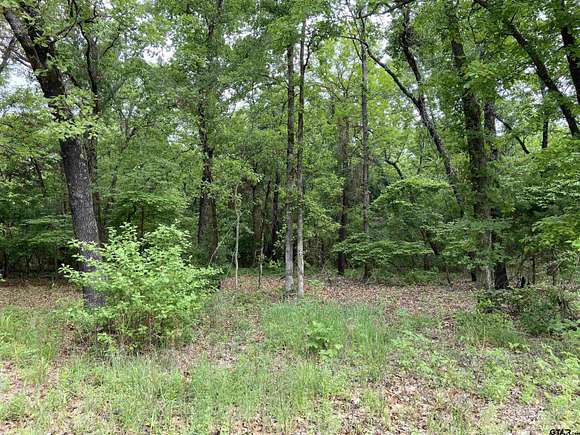 3 Acres of Residential Land for Sale in Lindale, Texas