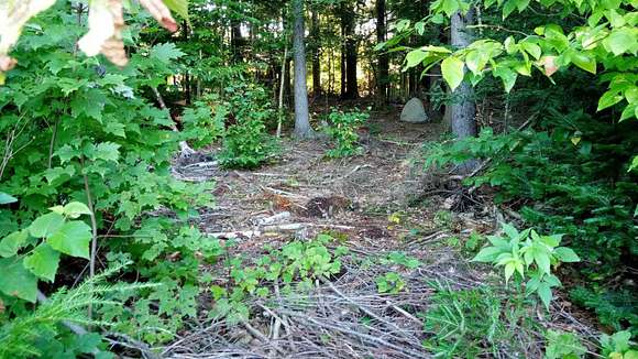 3.6 Acres of Residential Land for Sale in Wolcott, Vermont