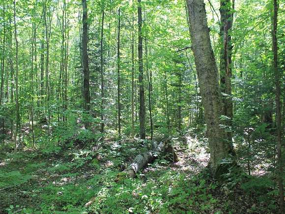 0.42 Acres of Residential Land for Sale in Upson, Wisconsin