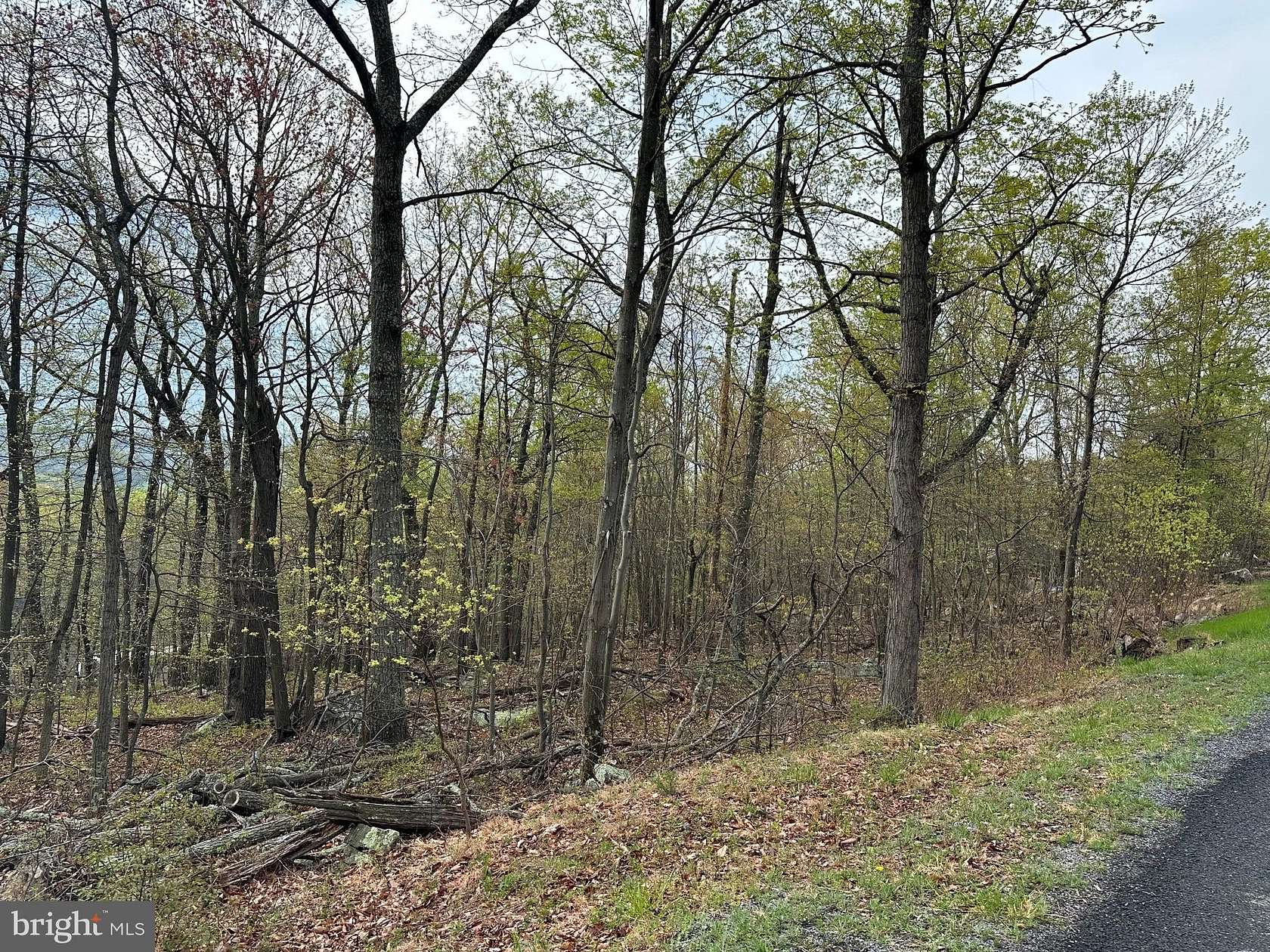 Residential Land for Sale in Winchester, Virginia