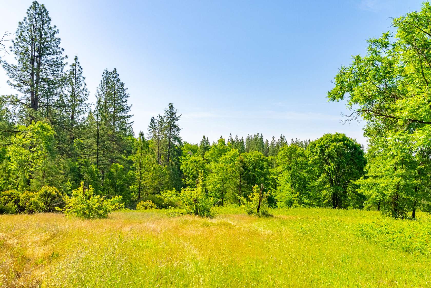 252 Acres of Recreational Land for Sale in Garden Valley, California