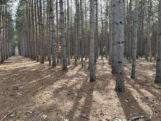 1.5 Acres of Residential Land for Sale in Necedah, Wisconsin