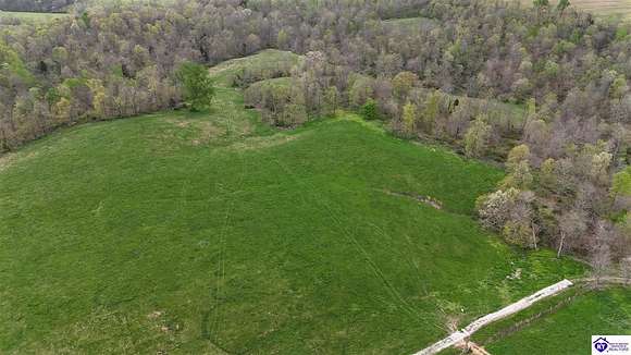 18.1 Acres of Agricultural Land for Sale in Falls of Rough, Kentucky