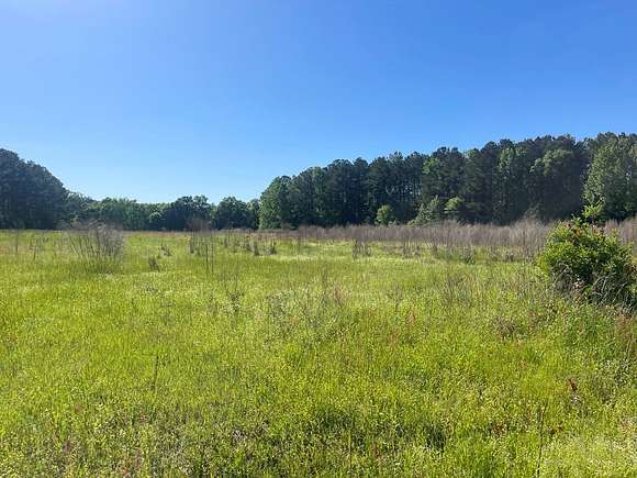 38 Acres of Land for Sale in Samson, Alabama