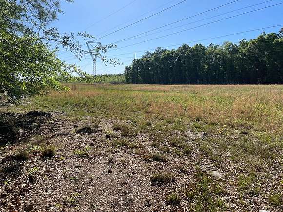 107 Acres of Land for Sale in Samson, Alabama