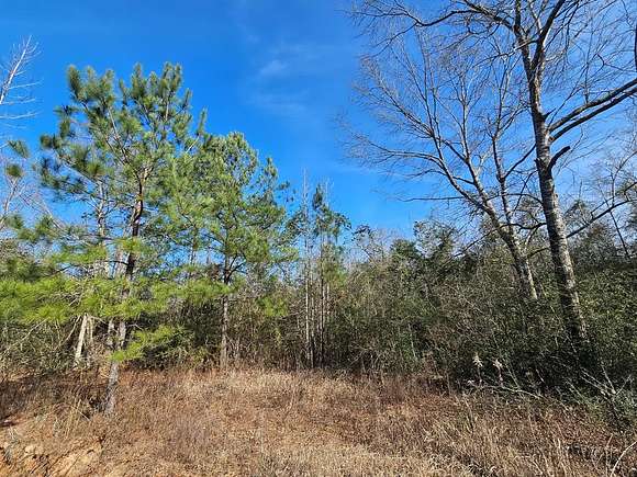 20.7 Acres of Land for Sale in Poplarville, Mississippi