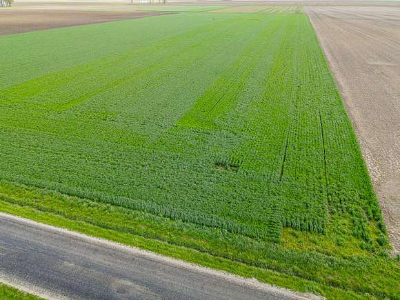 15 Acres of Agricultural Land for Sale in Arcola, Illinois