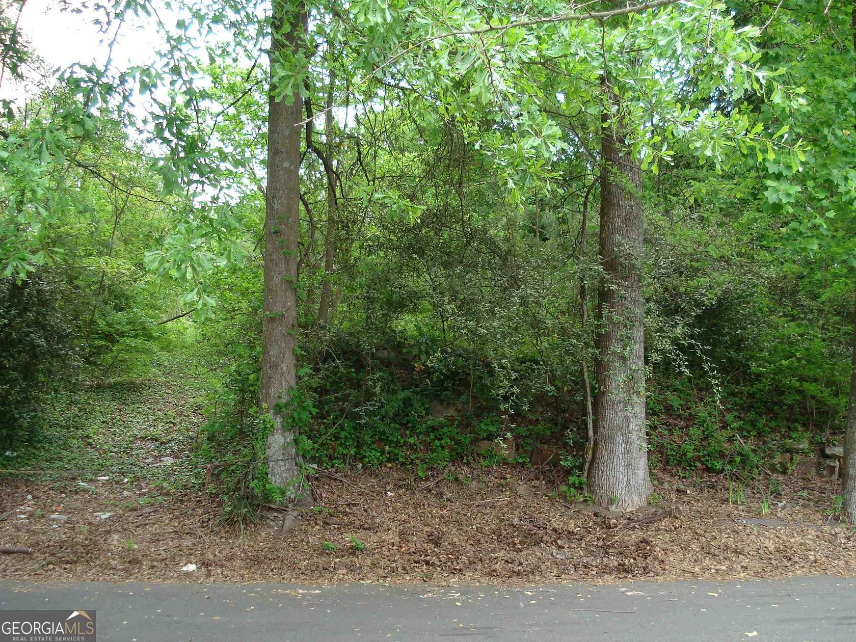 0.278 Acres of Residential Land for Sale in Atlanta, Georgia