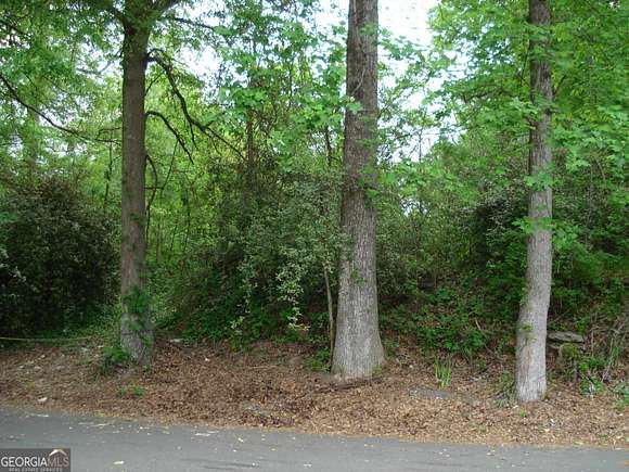 0.293 Acres of Residential Land for Sale in Atlanta, Georgia