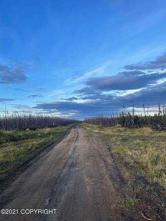 75.62 Acres of Recreational Land for Sale in Anderson, Alaska