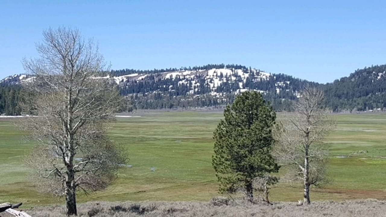 1,450 Acres of Land with Home for Sale in Adel, Oregon