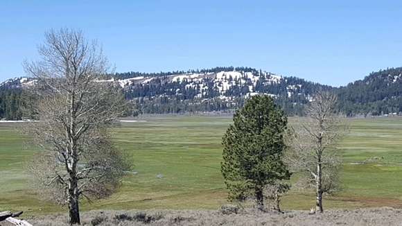 1,450 Acres of Improved Recreational Land & Farm for Sale in Adel, Oregon