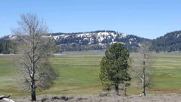 1,450 Acres of Land with Home for Sale in Adel, Oregon