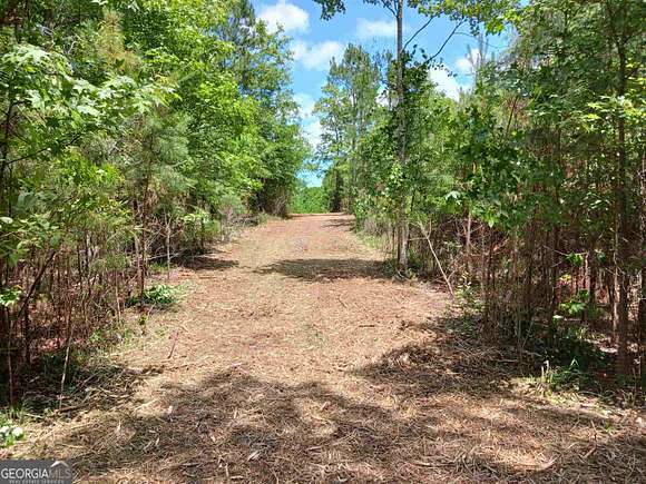 31 Acres of Recreational Land for Sale in Jackson, Georgia