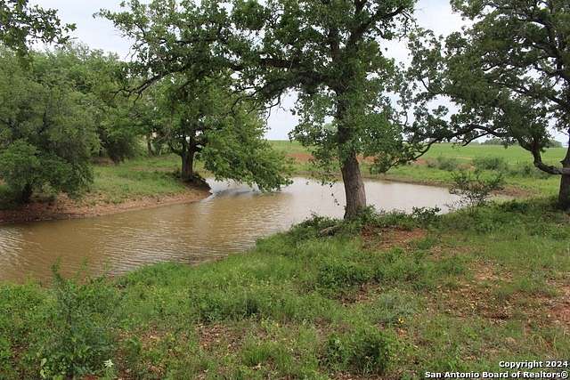 37 Acres of Improved Agricultural Land for Sale in Seguin, Texas