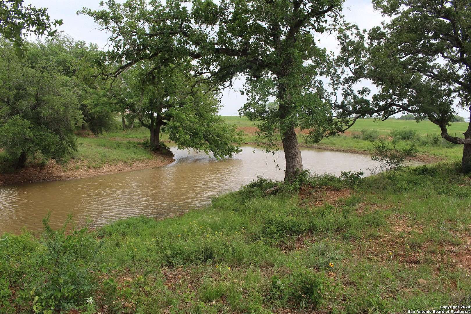 35.8 Acres of Improved Agricultural Land for Sale in Seguin, Texas