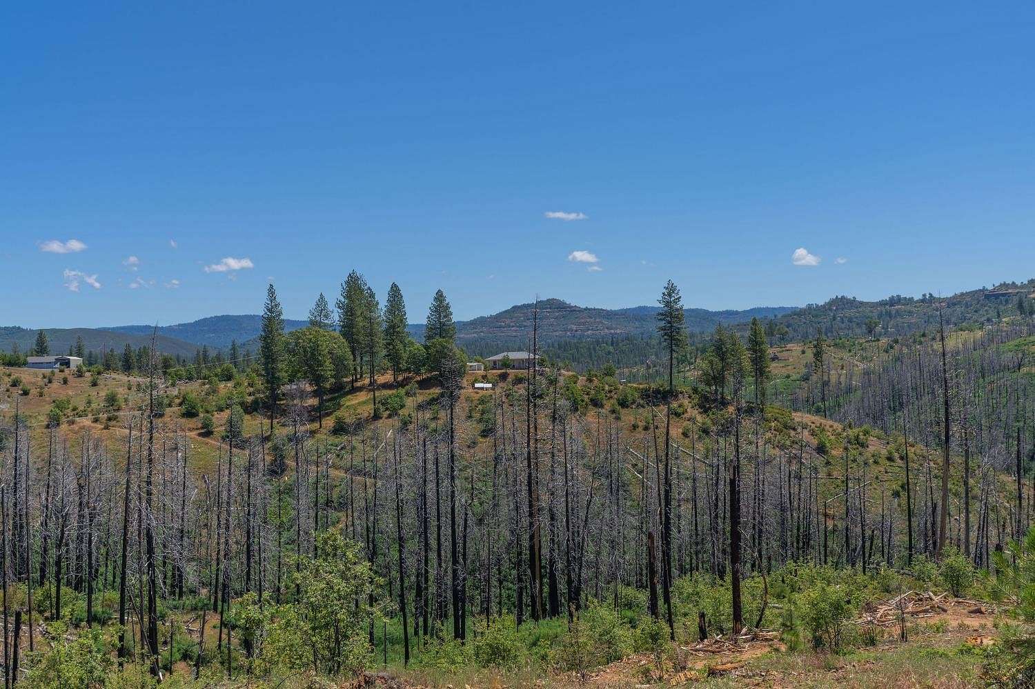 22.6 Acres of Land for Sale in Mountain Ranch, California