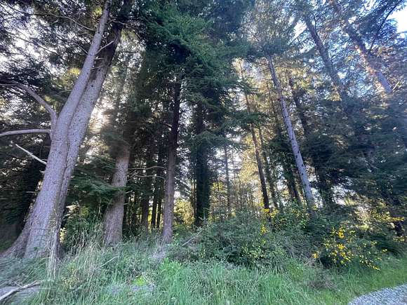 1.3 Acres of Residential Land for Sale in Crescent City, California