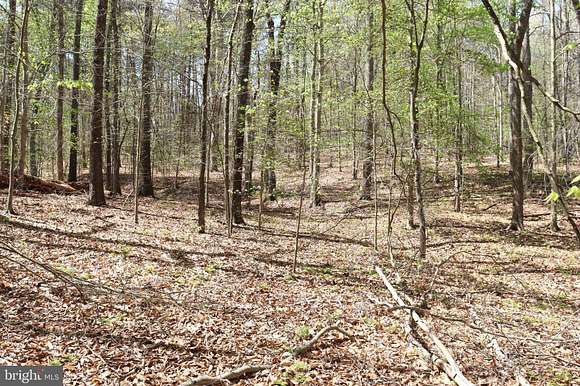17.7 Acres of Recreational Land for Sale in Sumerduck, Virginia