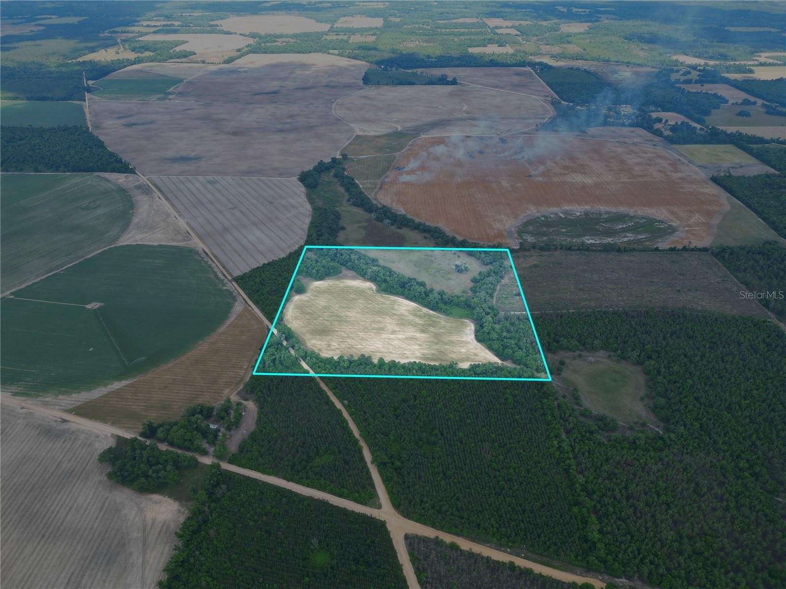 40 Acres of Agricultural Land for Sale in Bascom, Florida