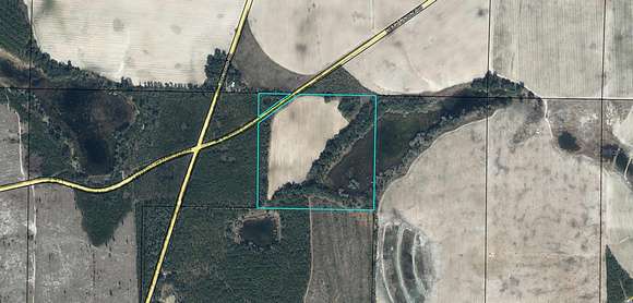 40 Acres of Agricultural Land for Sale in Bascom, Florida