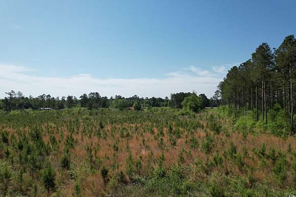 20.5 Acres of Land for Sale in Loris, South Carolina