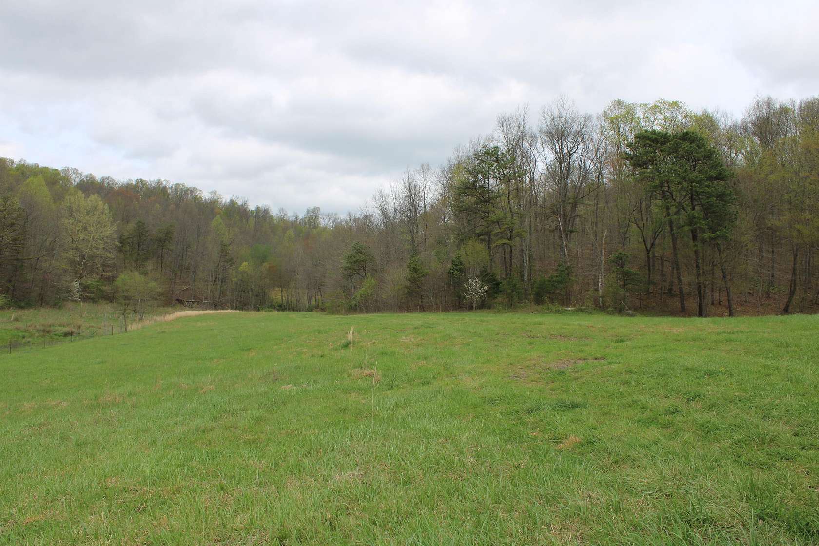 33.1 Acres of Land for Sale in London, Kentucky