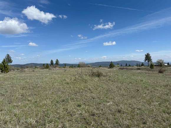 20 Acres of Land for Sale in Nine Mile Falls, Washington