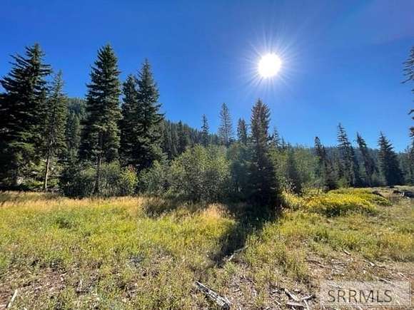 5.2 Acres of Residential Land for Sale in Gibbonsville, Idaho