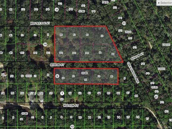 4.3 Acres of Residential Land for Sale in Inverness, Florida