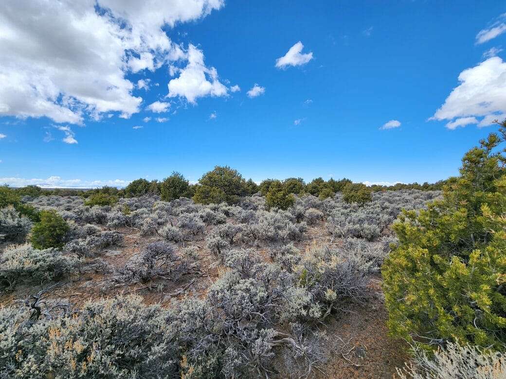 2.5 Acres of Residential Land for Sale in San Luis, Colorado