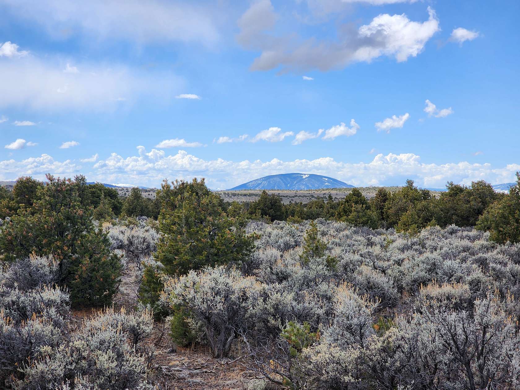 2.5 Acres of Residential Land for Sale in San Luis, Colorado