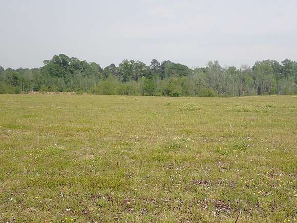 53.5 Acres of Agricultural Land for Sale in Thomasville, Alabama