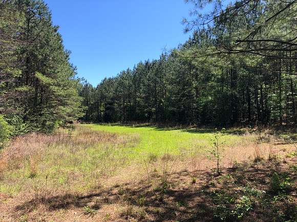 100 Acres of Recreational Land for Sale in Evergreen, Alabama