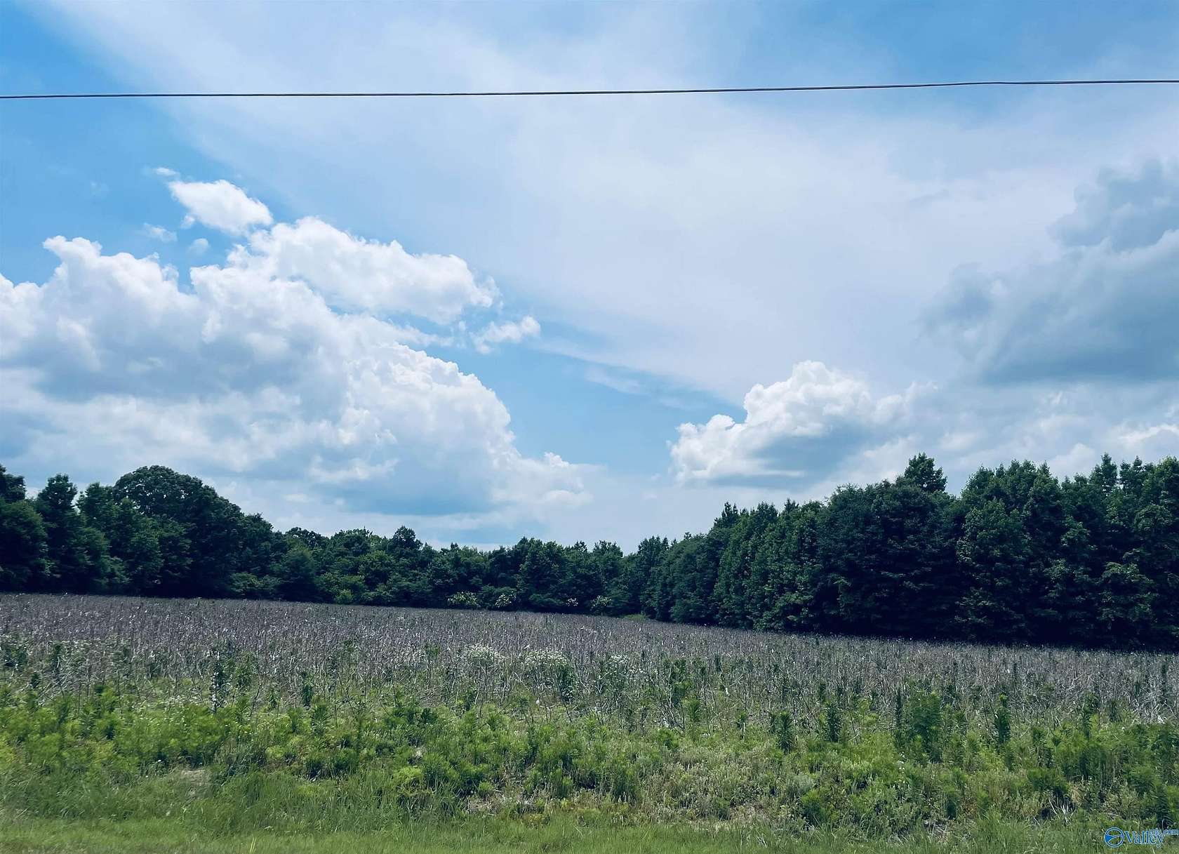 11 Acres of Land for Sale in Athens, Alabama