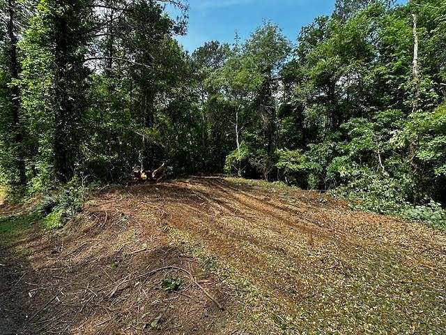 4 Acres of Residential Land for Sale in Ball Ground, Georgia