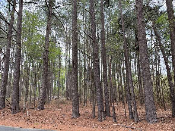 2 Acres of Land for Auction in Eastover, South Carolina