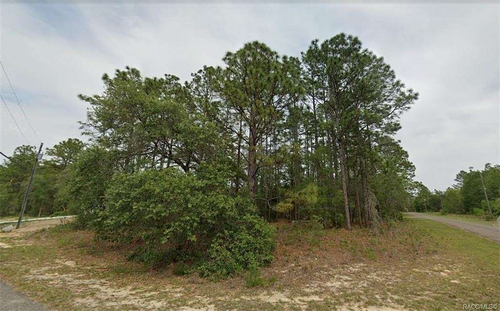 0.37 Acres of Residential Land for Sale in Citrus Springs, Florida