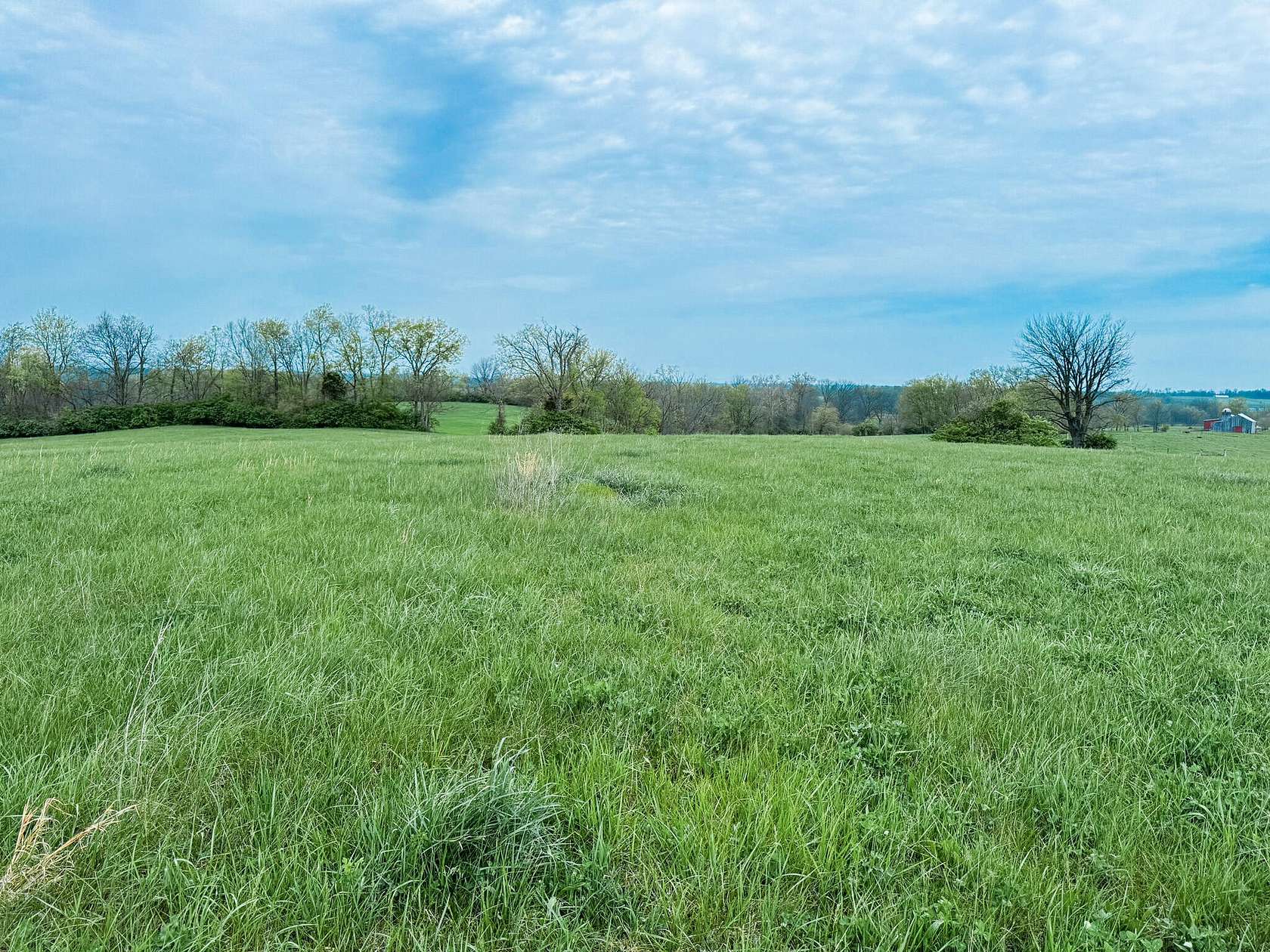 19.9 Acres of Land for Sale in Shelbyville, Kentucky