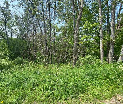 0.65 Acres of Land for Sale in Randolph, Vermont