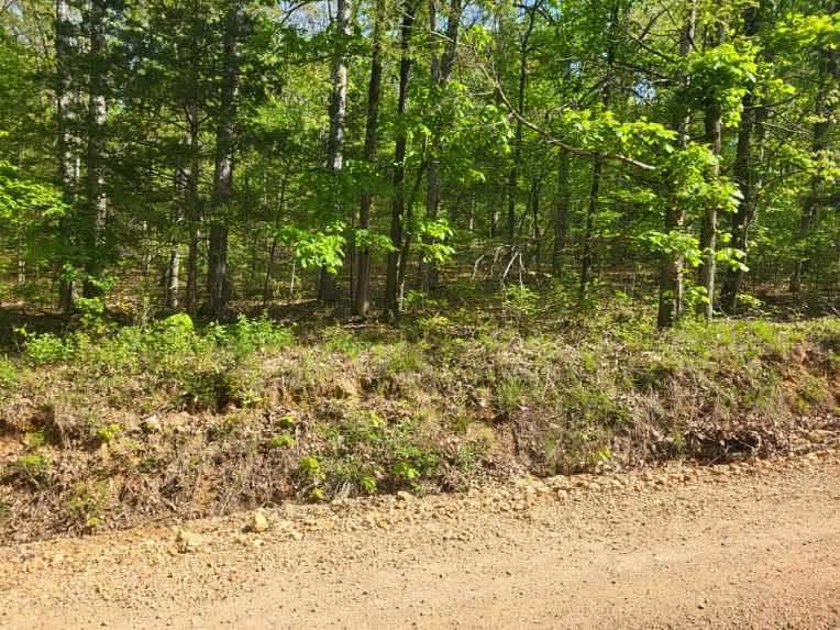 10 Acres of Land for Sale in Pocahontas, Arkansas