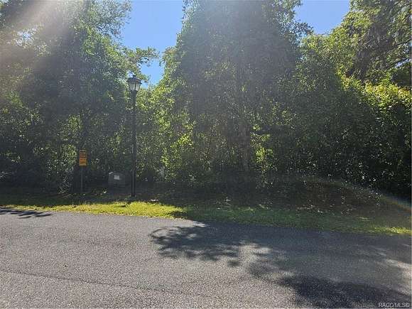 1 Acre of Land for Sale in Dunnellon, Florida